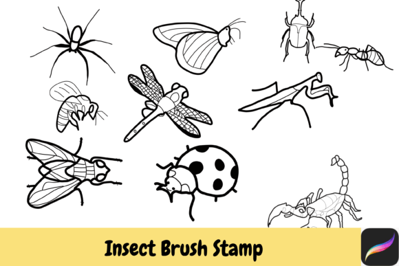 Insect Animal Procreate Brush Stamps Guide